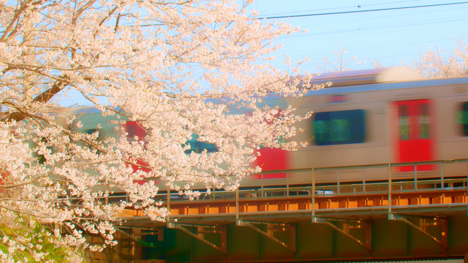 日本のエモい春