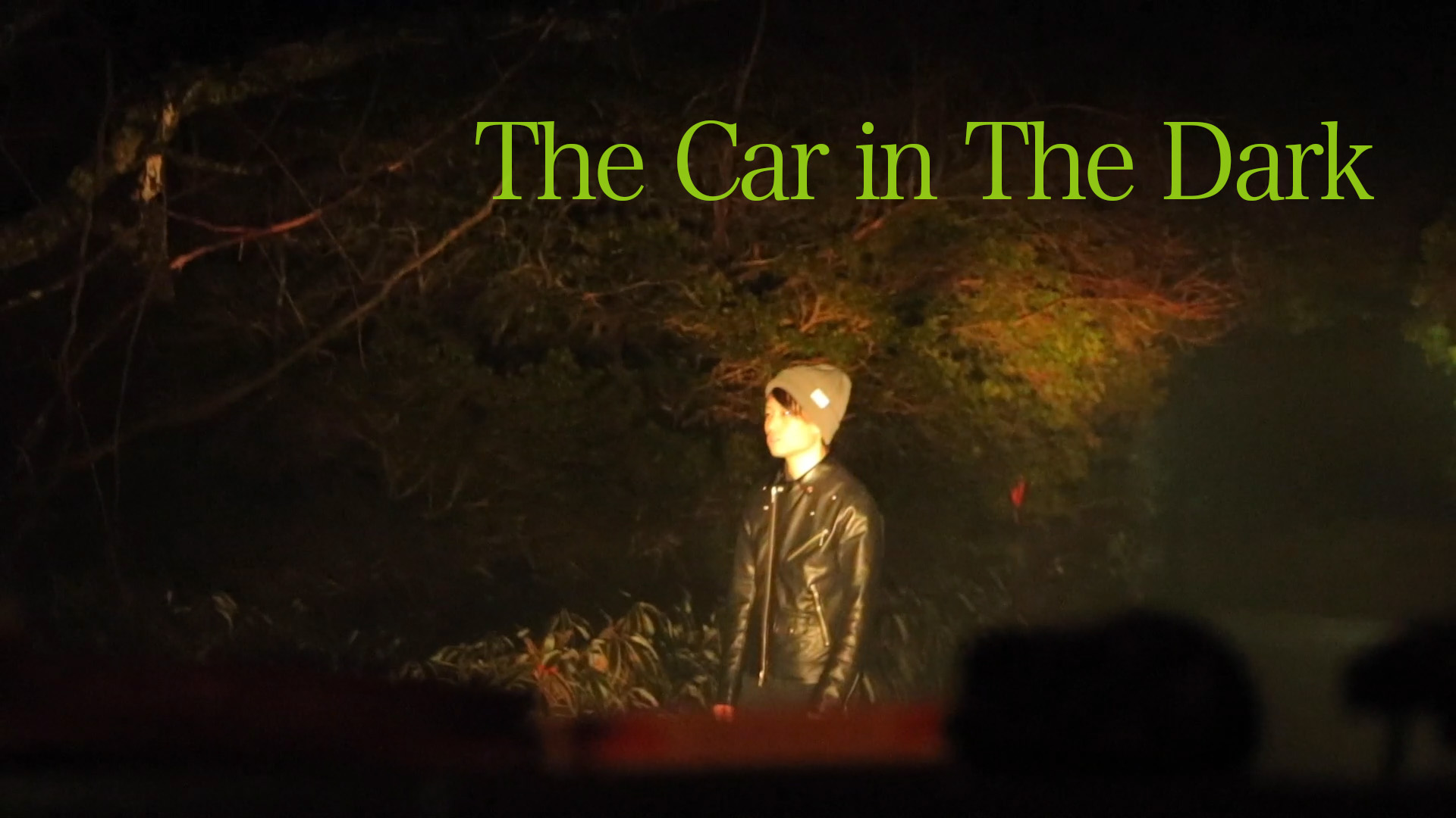 The Car in The Dark